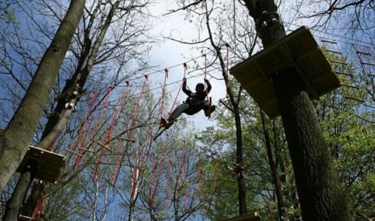 Tarzanem v Šumavských hvozdech pro 2